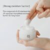 Beauty of Joseon Dynasty Cream| كريم ترطيب داينستي من بيوتي او جوسيون