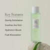 Beauty of Joseon Green plum refreshing toner : AHA + BHA| بيوتي اوف جوسيون تونر منعش بالخوخ و أحماض AHA+BHA