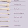 Sheglam pro core brush kit | فرش سيت 8 قطع من شيكلام