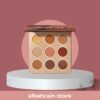 Sheglam Nude Beginnings Palette | ضلال عيون درجات نود ترابيات من شيكلام