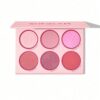 Sheglam Floral Flush Blush Palette-Blushing Bouquet | بلشر خدود تدرجات الوردي من شيكلام